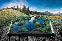 English 11 Part 1 the First Semester of the Course for $125